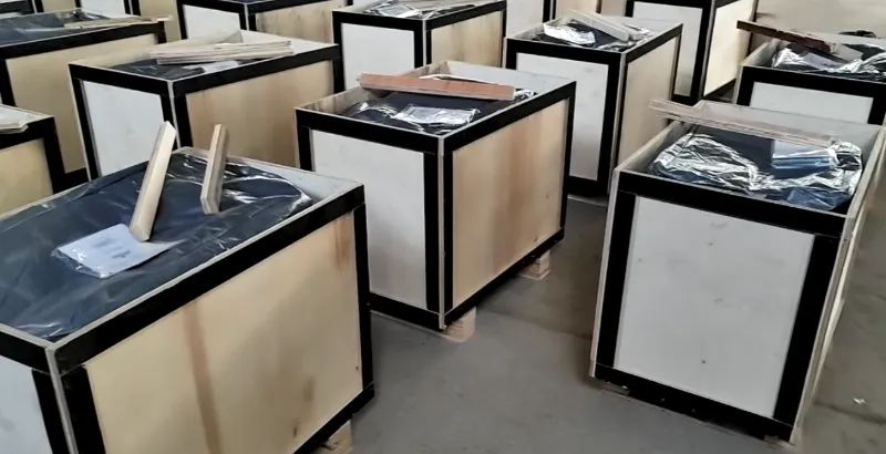 Lieferung ! Shunhang Machine liefert über 100 Benzin-Plattenverdichter nach Janpan